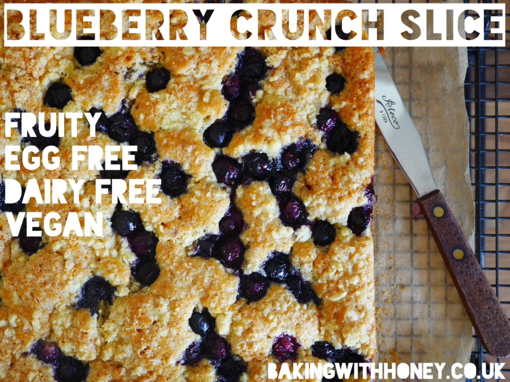 Blueberry Crunch Slice