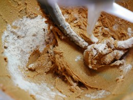 speculaas cookies biscuits